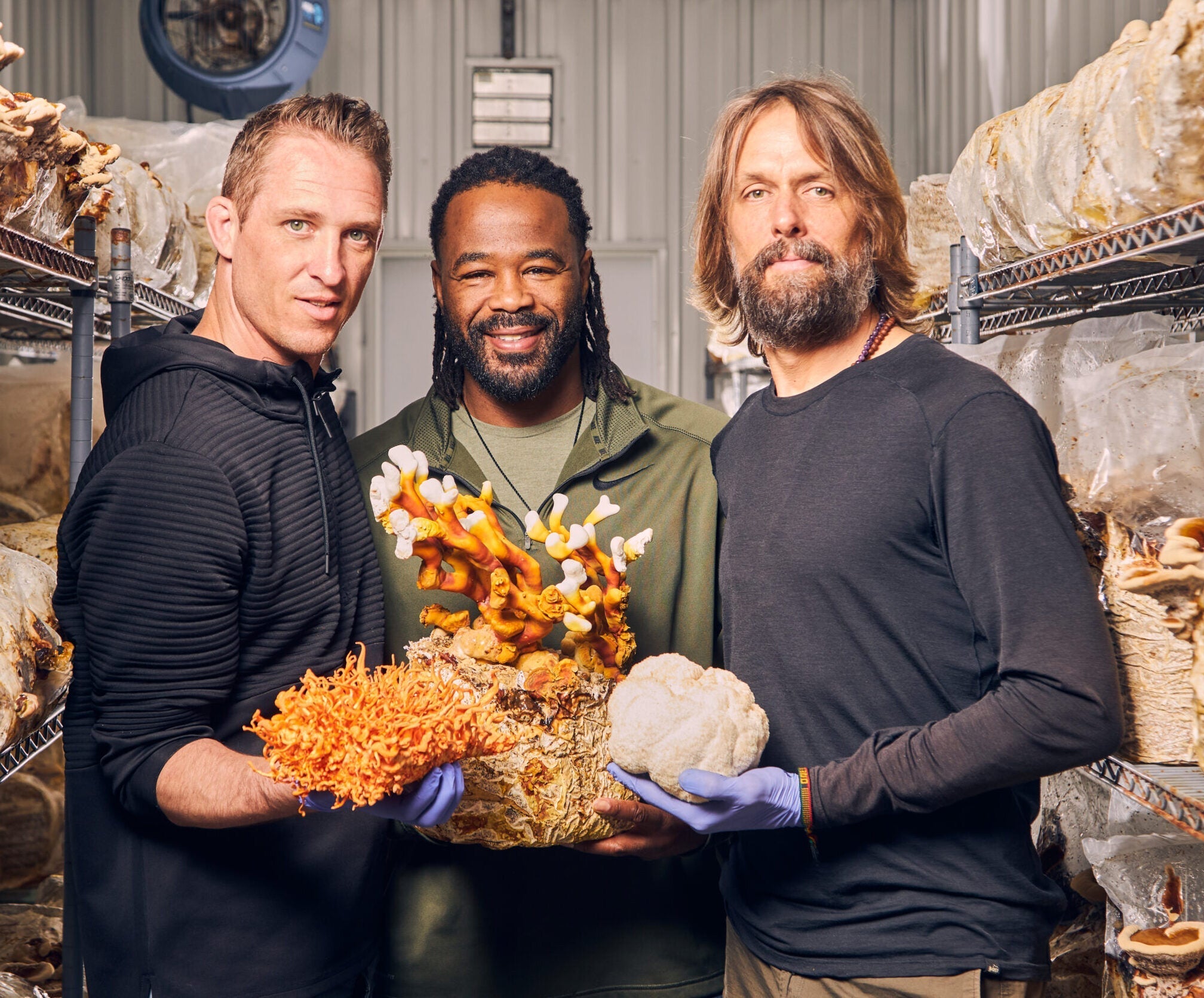 Guide to Functional Mushrooms, Adaptogens, and Their Benefits