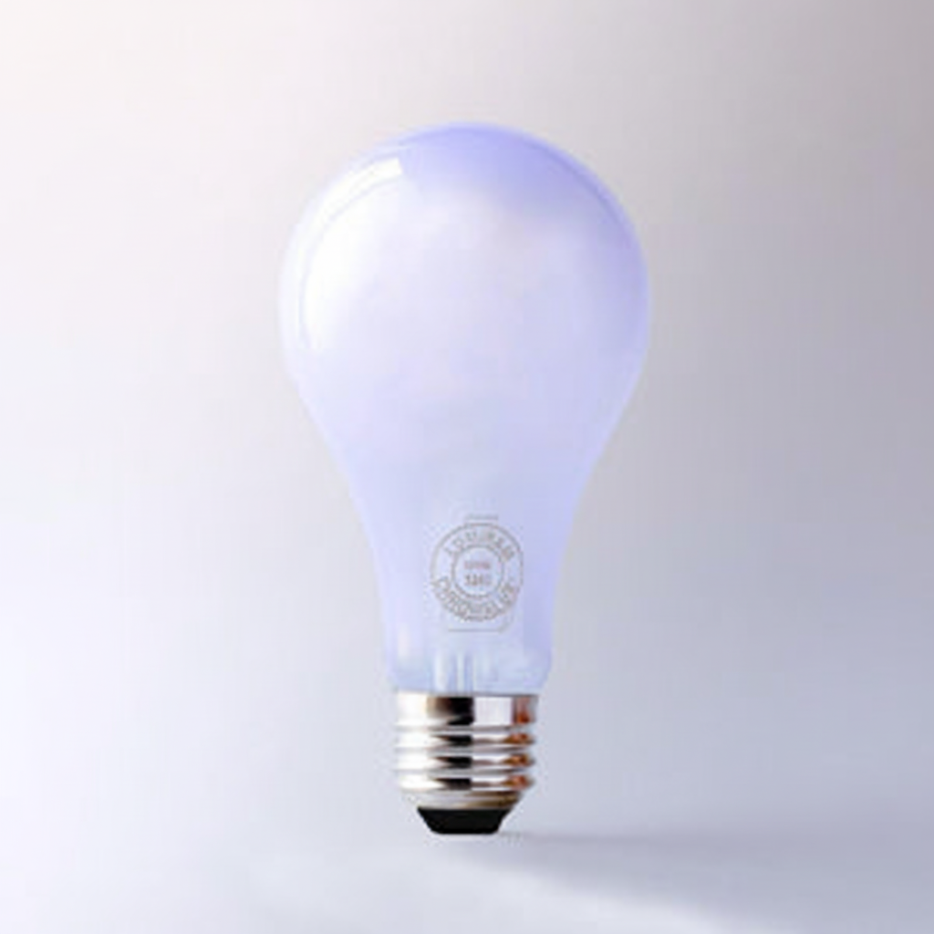 Full Spectrum Light Bulb 100 Watt — in use