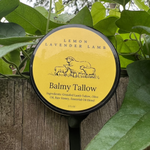 Balmy Tallow Lemon Lavender Lamb balm, grassfed lamb tallow moisturizer with raw honey, 2 fl oz