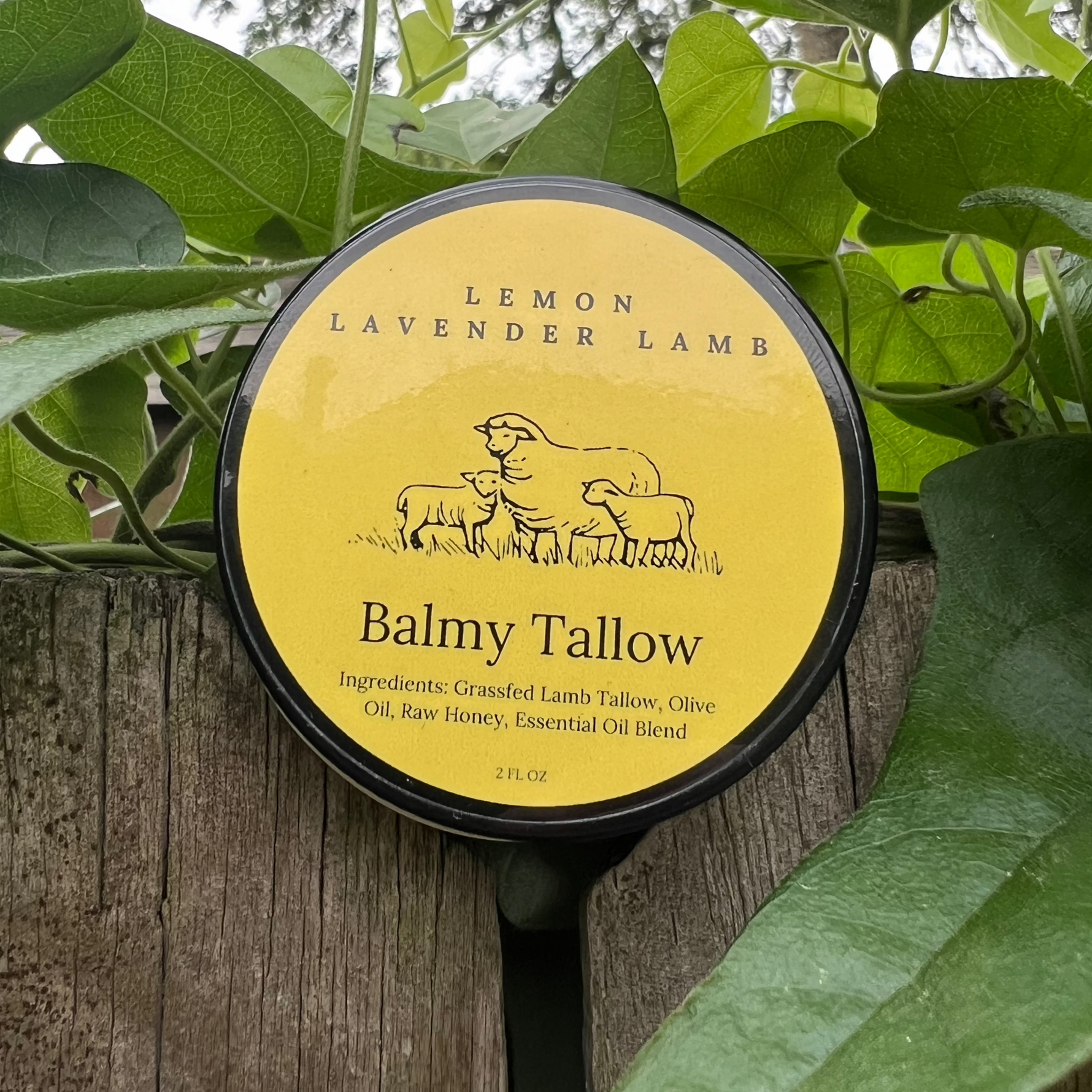 Balmy Tallow Lemon Lavender Lamb balm, grassfed lamb tallow moisturizer with raw honey, 2 fl oz