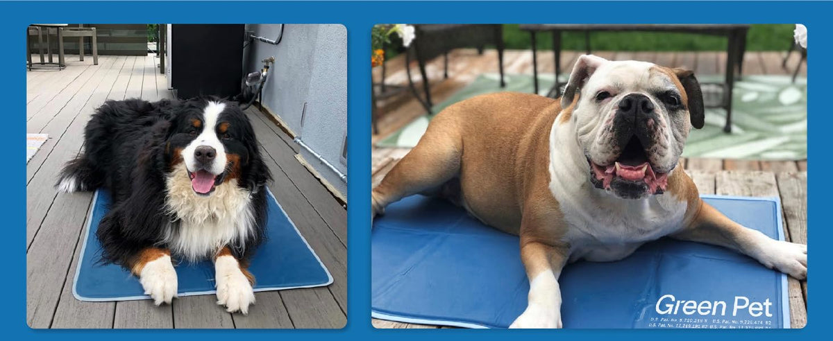 Green Pet Cooling Pet Pad — product photo 8
