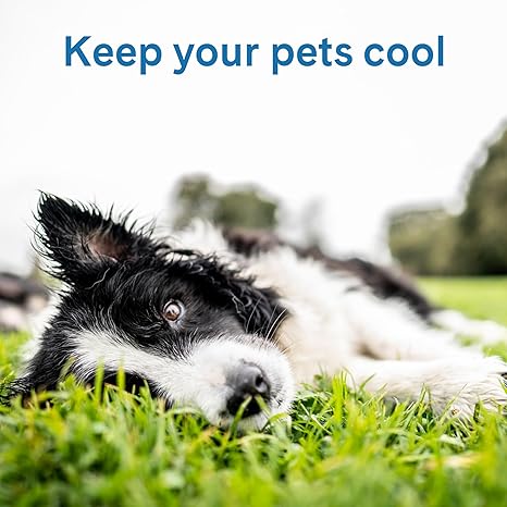 Green Pet Cooling Pet Pad — alternate view