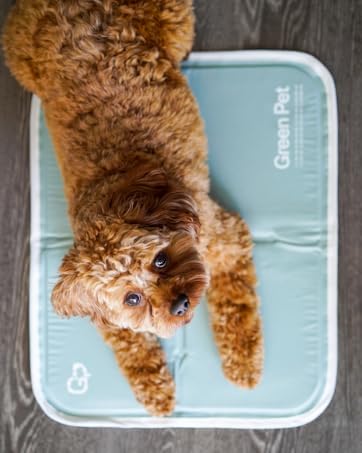 Green Pet Cooling Pet Pad — product photo 7