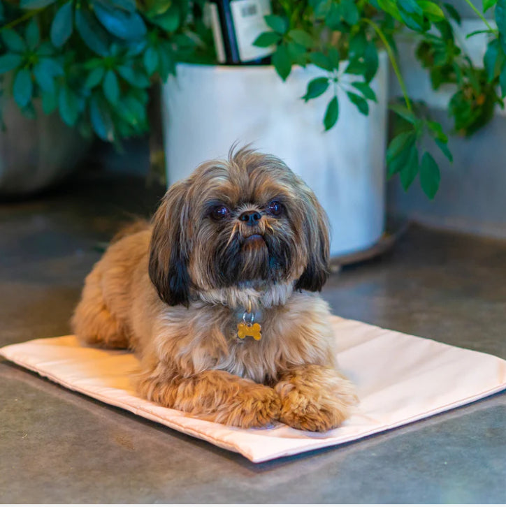 Green Pet Cooling Pet Pad Cover — alternate view