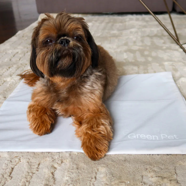 Green Pet Cooling Pet Pad Cover — in use