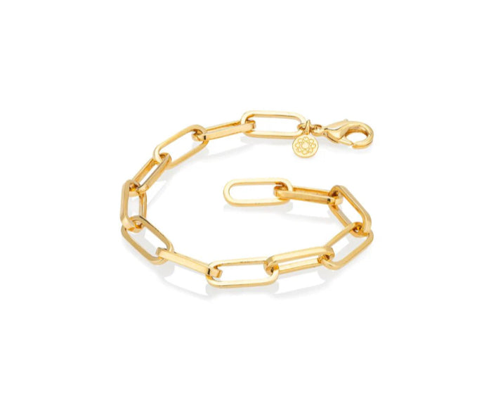 Life Harmony Chain of Love EMF Bracelet — product photo 8