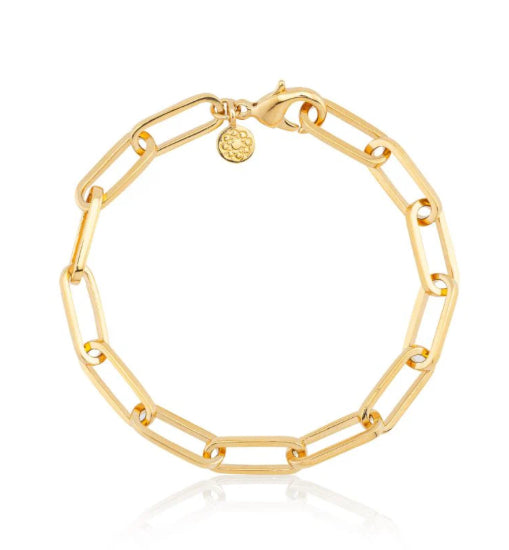 Life Harmony Chain of Love EMF Bracelet — product photo 7