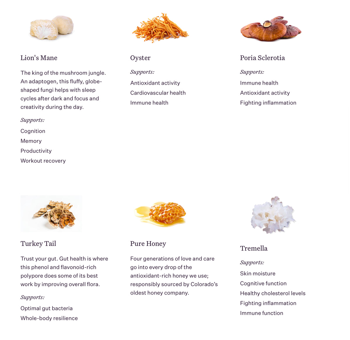 Umbo - Dairy Free Macadamia Cashew Mushroom Bar — product photo 8