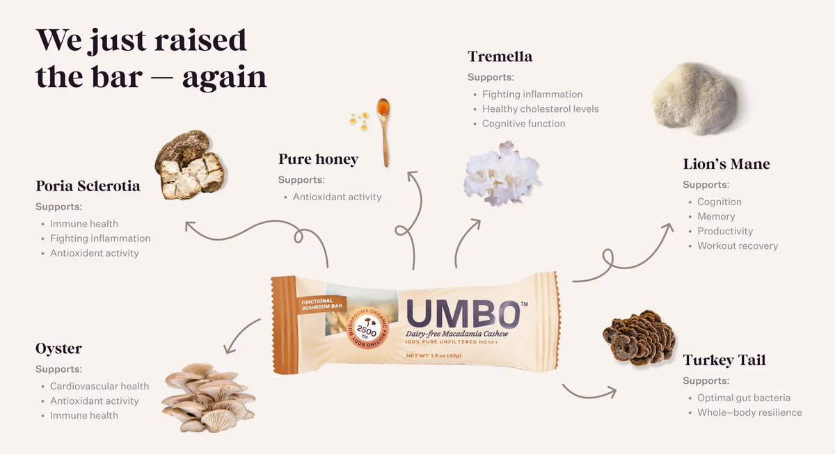 Umbo - Dairy Free Macadamia Cashew Mushroom Bar — product photo 7