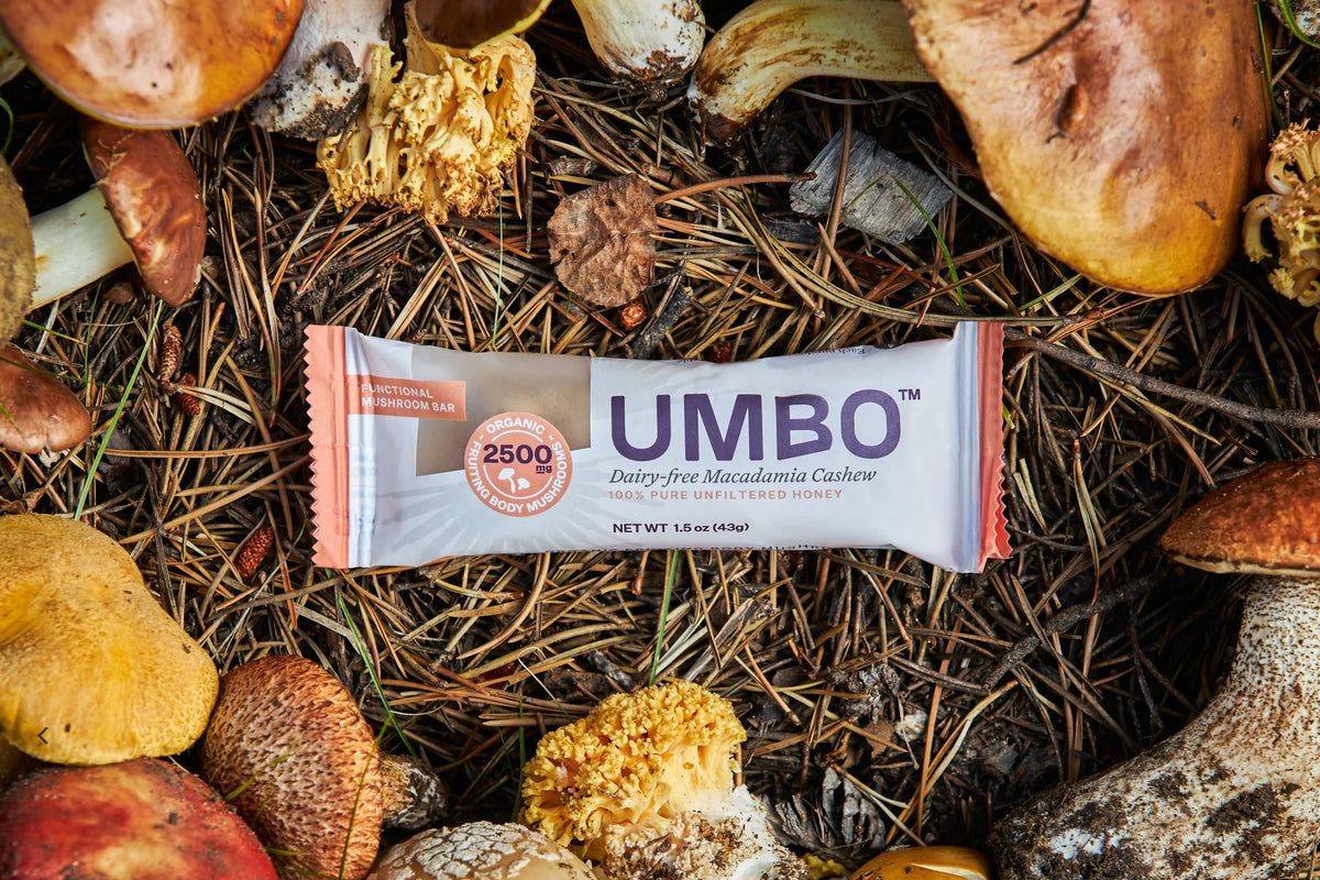 Umbo - Dairy Free Macadamia Cashew Mushroom Bar — product photo 9