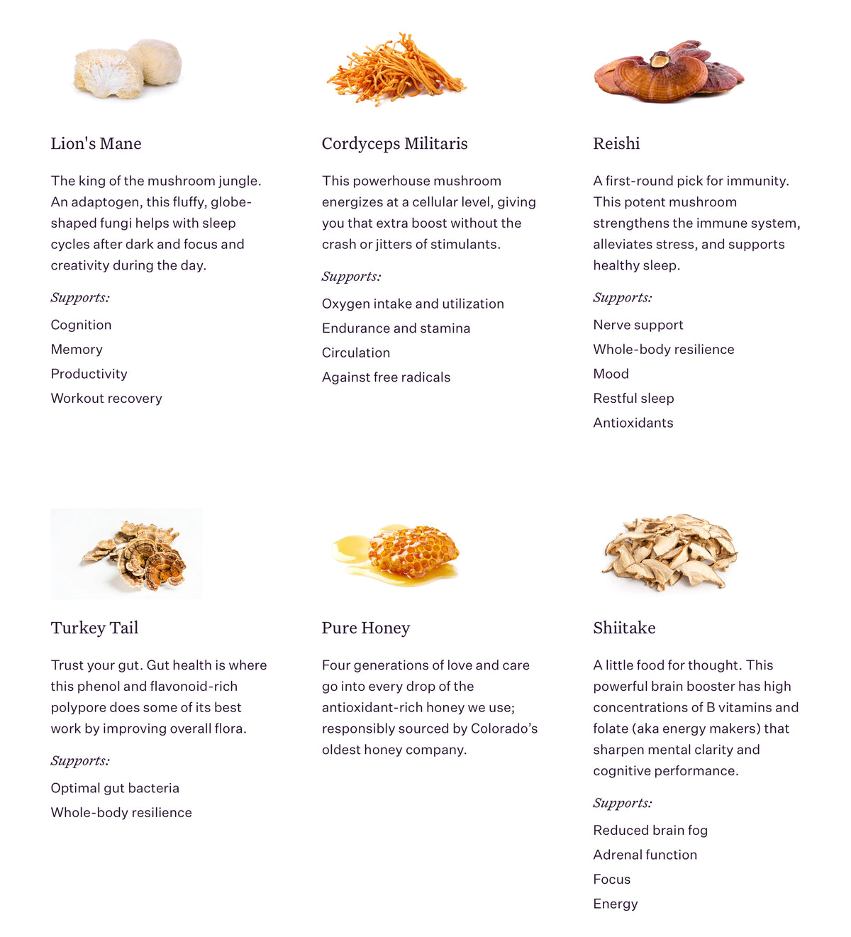 Umbo Functional Mushroom Bar — product photo 11
