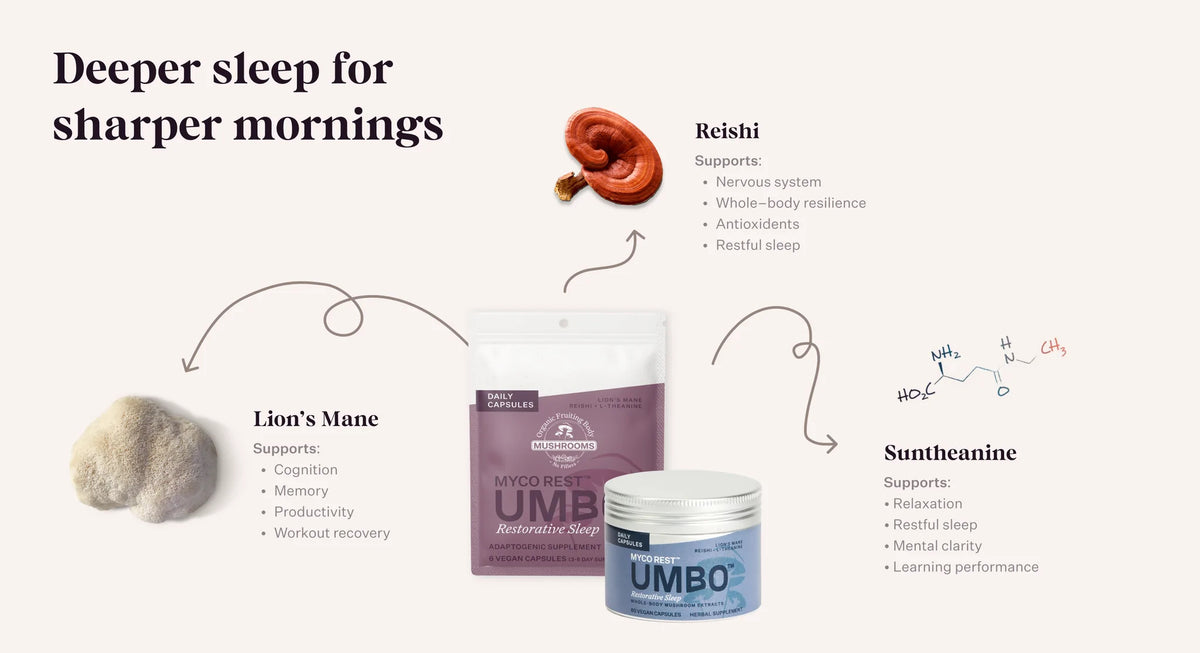Myco Rest - Functional Mushroom Supplement — alternate view