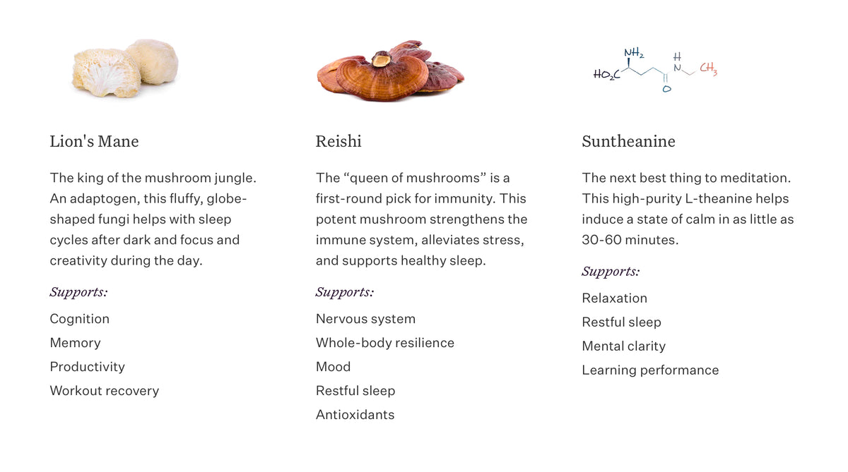 Myco Rest - Functional Mushroom Supplement — in use