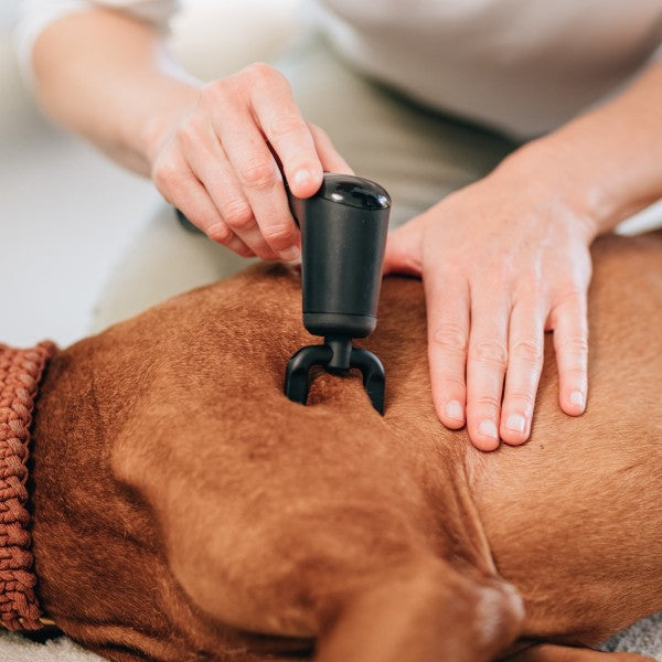 NOVAFON Physio Set — product photo 7