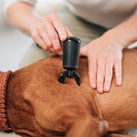 NOVAFON Physio Set — product photo 7
