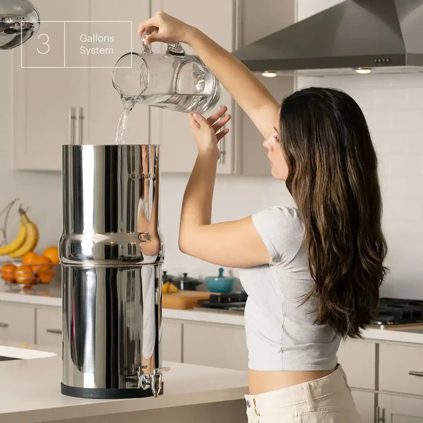 BOROUX Legacy™ Water Filter System — alternate view