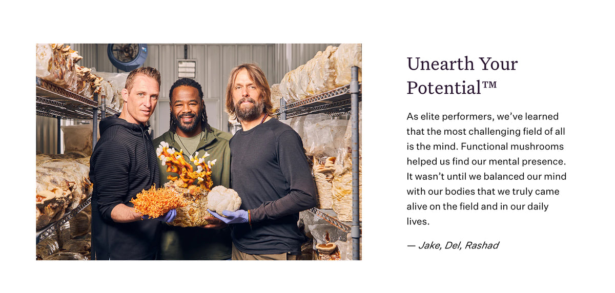 UMBO - Whole Mushroom Tinctures — product photo 9