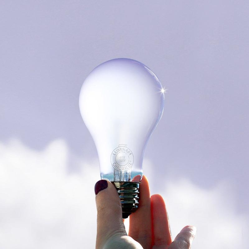 Full Spectrum Light Bulb 75 Watt — in use