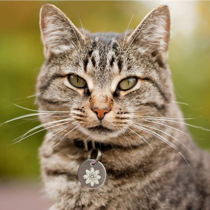 EMF Harmony - HARMONIZER PET TAG