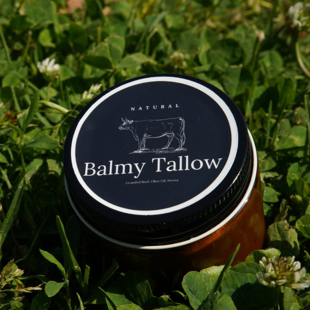 Balmy Tallow natural tallow balm in an amber jar resting on clover — Tools For Wellness, Texas
