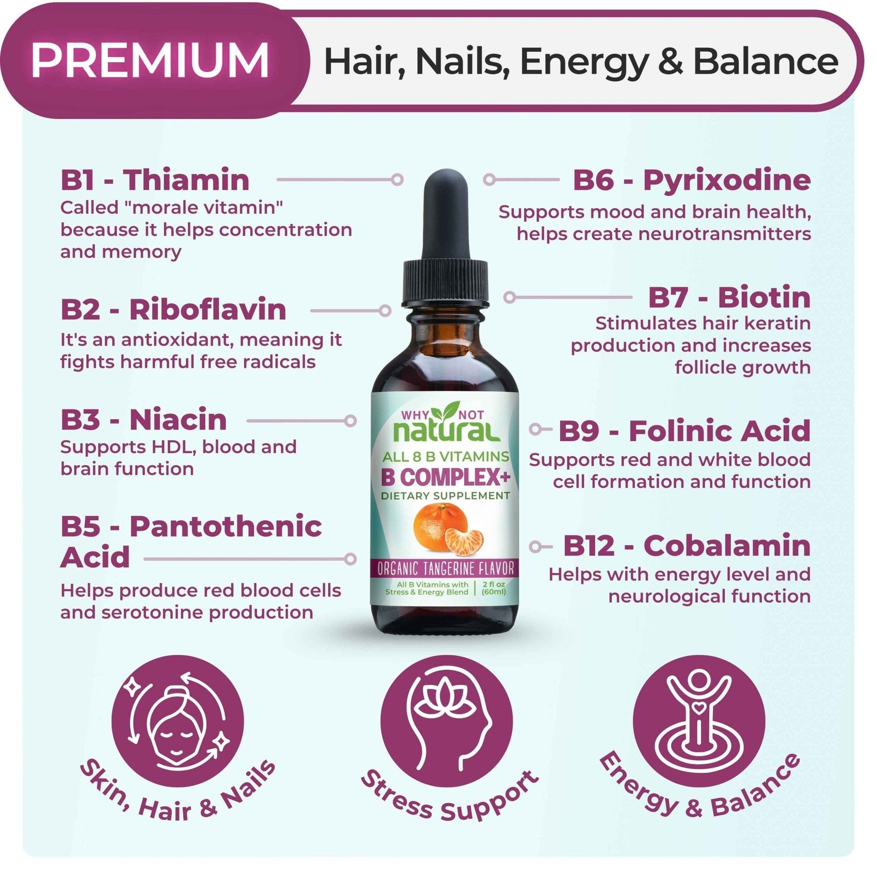 Why Not Natural liquid B complex breakdown of all 8 B vitamins, B1 through B12, in a 2 fl oz dropper bottle