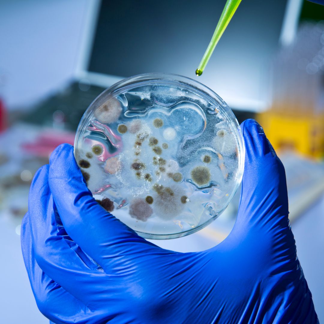 scientist with pathogens in a lab