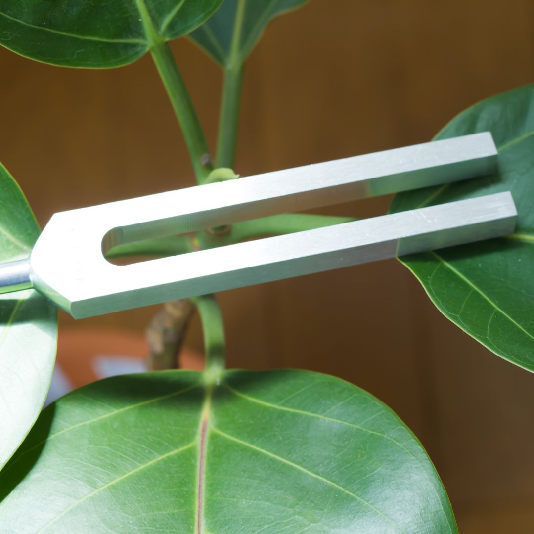 tuning fork with leaves in background